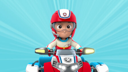 control de ryder paw patrol